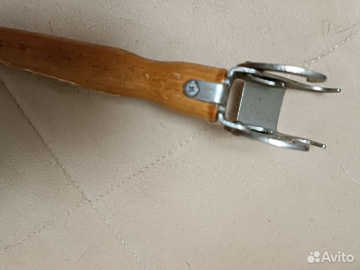 Сковородник чапельник