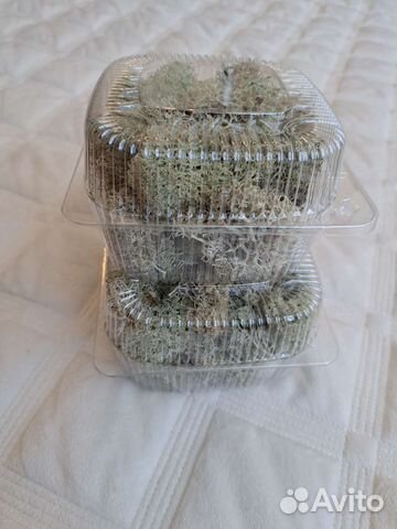 Кальцесмесь, кокосовый коврик, мох ягель