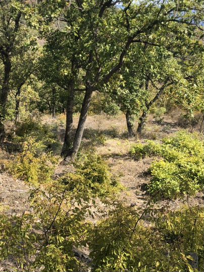 Участок 8 га (ИЖС)