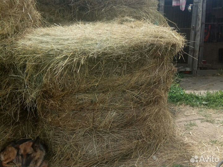 Солома сено в катушках навоз