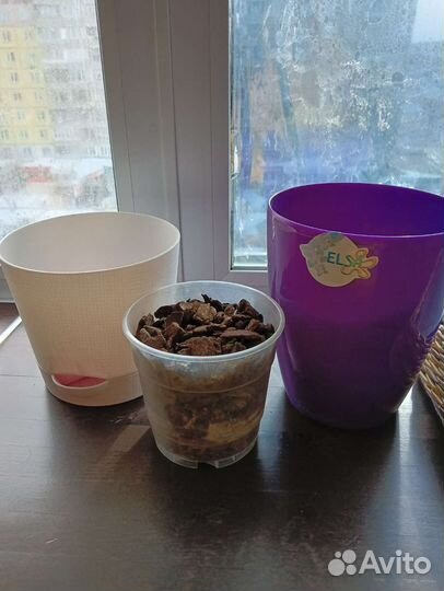 Горшок для цветов/архидей