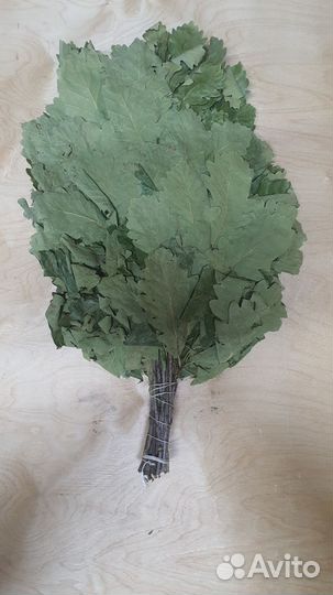 Веники дубовые, канадский дуб