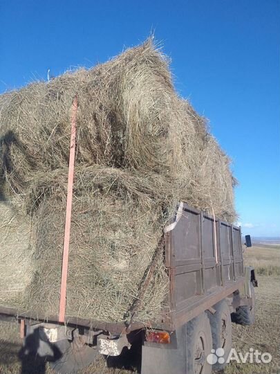 Сено в рулонах