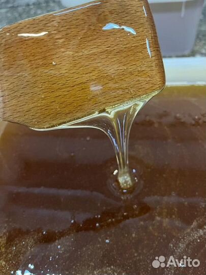 Разнотравье светлое. Свежий мёд оптом