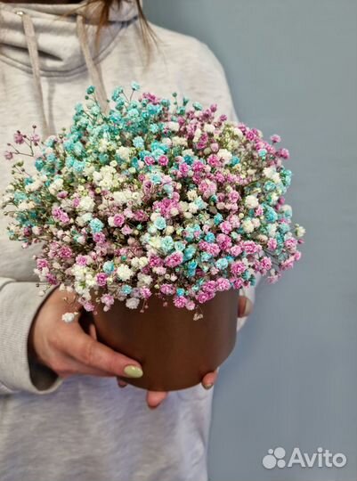 Цветы гипсофила букет