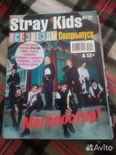 Спецвыпуск Stray Kids