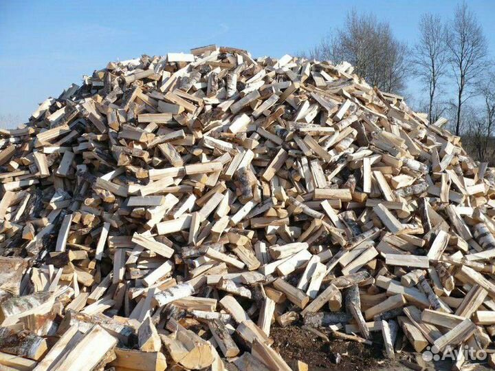 Дрова осина
