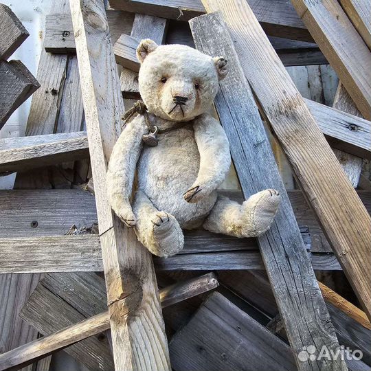 Мишка тедди