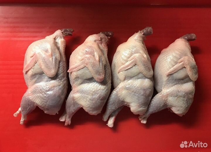 Мясо бройлера, перепелки, яйцо домашнее