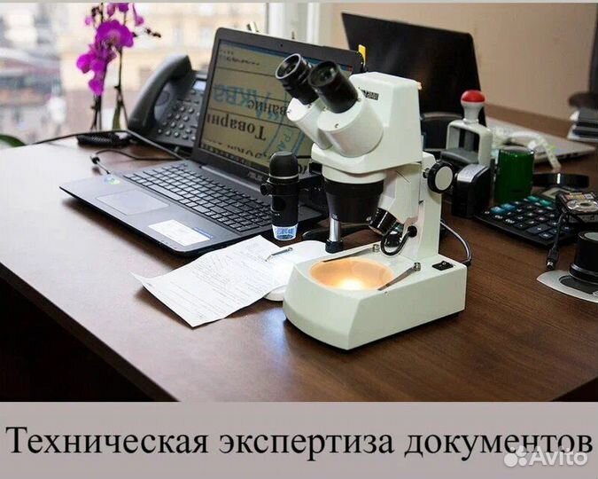 Независимая экспертиза