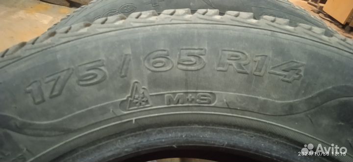Sava Eskimo Ice 175/65 R14