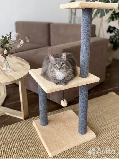 Когтеточка игровой комплекс для кошек