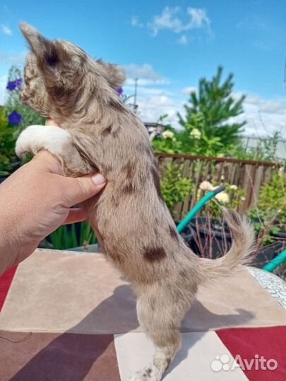 Мраморная девочка