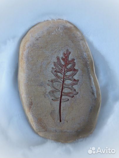 Керамические тарелки с оттисками растений