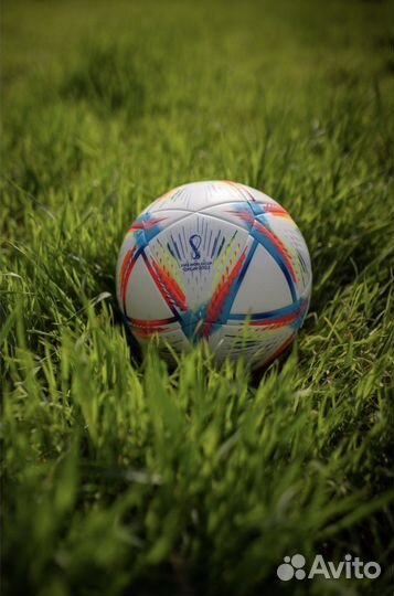 Футбольный мяч профессиональный