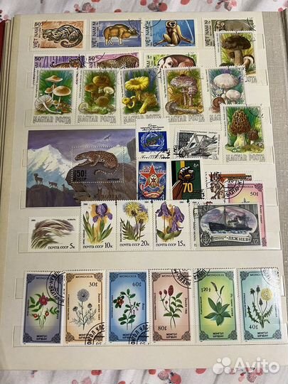 Почтовые марки СССР