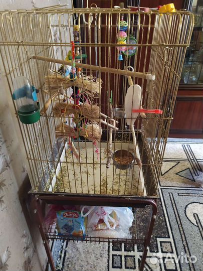 Клетка для попугая