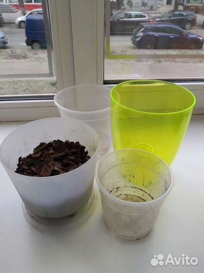 Грунт обмен, горшок для орхидей