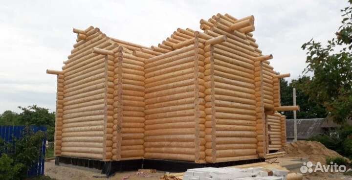 Срубы из зимнего леса