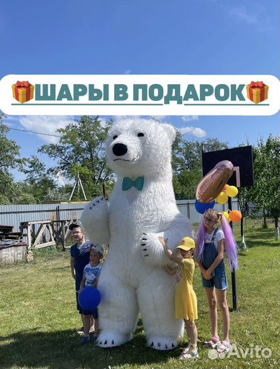 Поздравление от гигантского мишки 2.6метра и Тедди