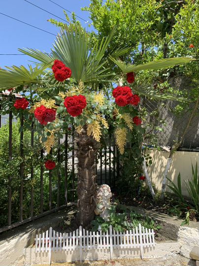 Комната 20 м² в > 9-к., 1/3 эт.