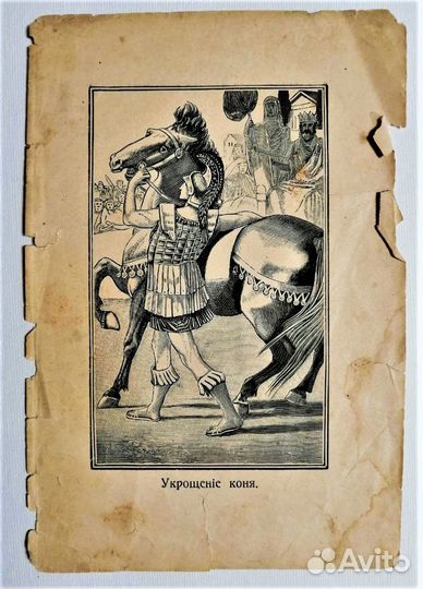 Укрощение коня
