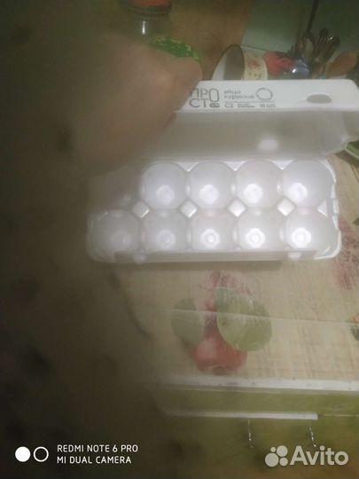 Контейнер для хранения яиц