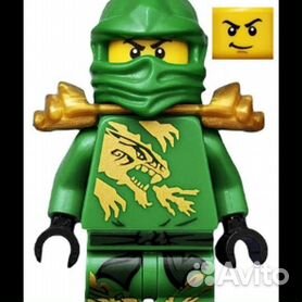 Lego ninjago best sale lloyd dx