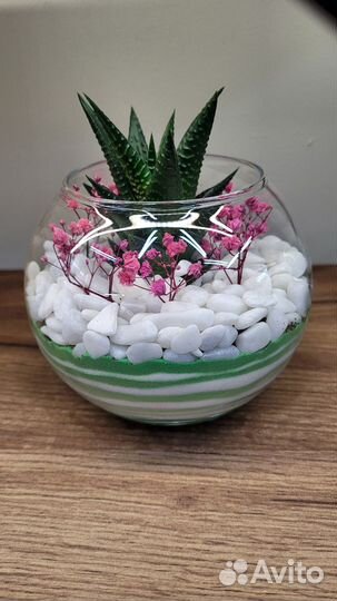 Флорариум из суккулентов