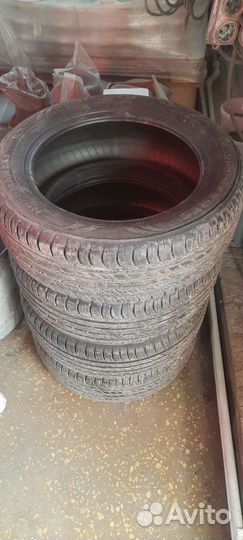 Nokian Tyres Nordman SX2 205/55 R16