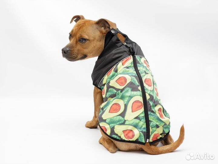 Жилетка для собак