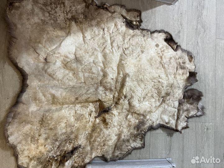 Оленья шкура