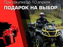 Квадроцикл aodes pathcross 1000 MAX MUD PRO