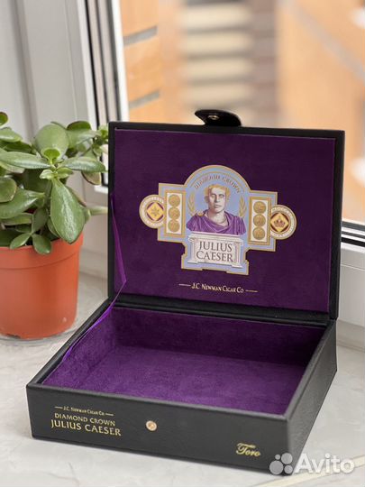 Коробка для сигар Julius Caeser