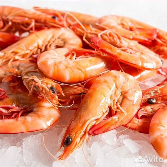 Креветки королевские. Эквадор