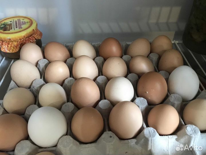 Домашние куриные яйца