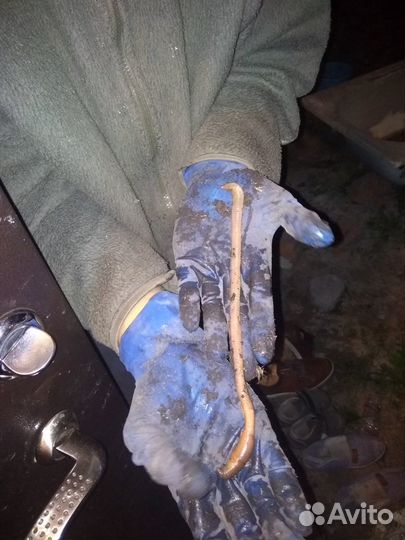 Выползки для рыбалки