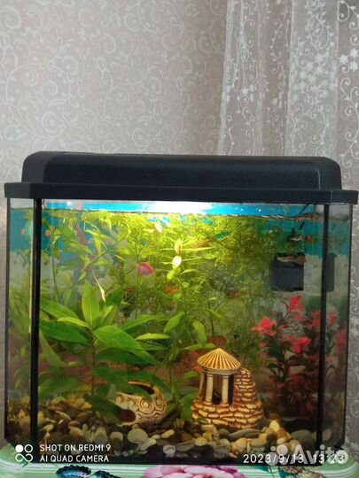 Аквариум 25 литров со всем содержимым