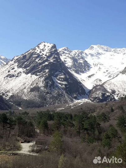 Индивидуальныe или гpупповыe туpы нa ваш выбоp