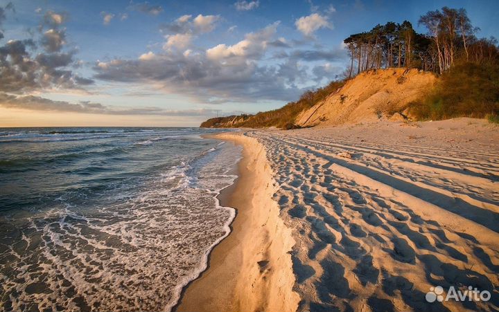 Экскурсионные туры в Калининград