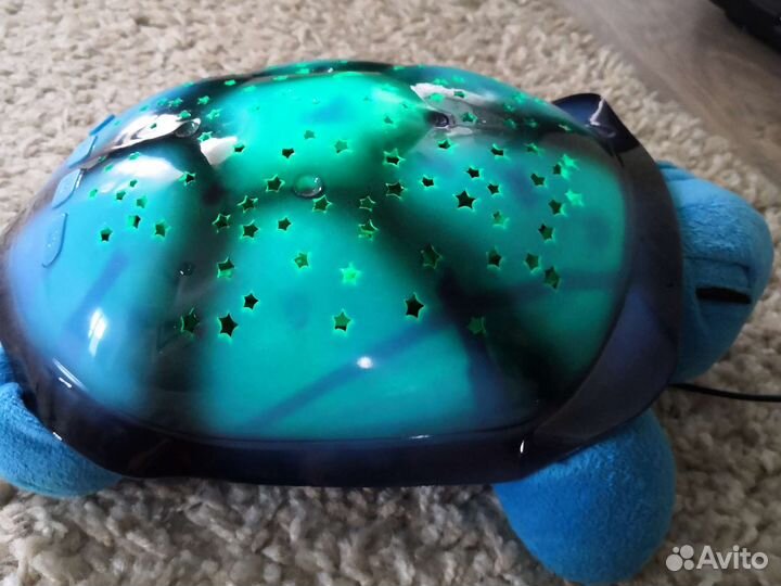 Черепаха ночник