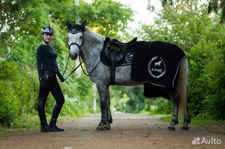 Продам лошадь