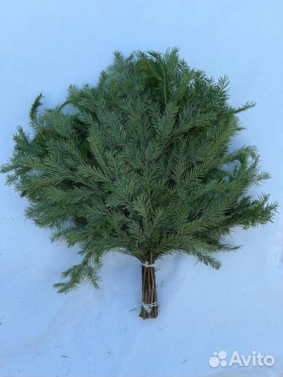 Веники для бани. Эвкалипт Только оптом от 100шт