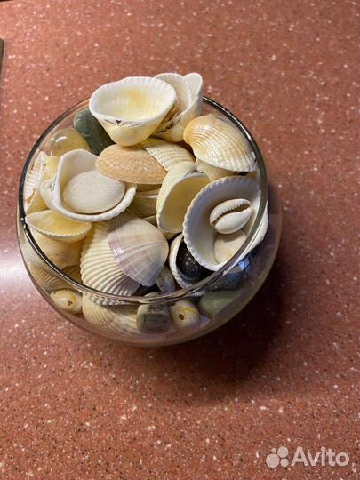 Ракушка для аквариума