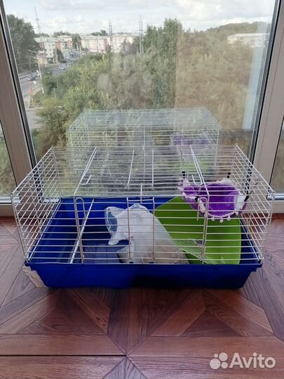 Клетка для грызунов