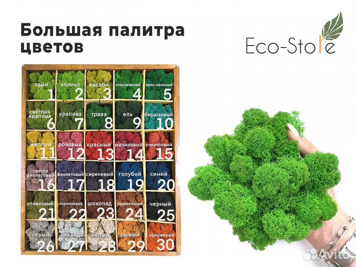 Логотип панно из мха в раме