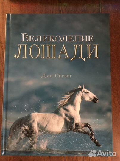 Книга, Великолепие лошади, Дин Сервер