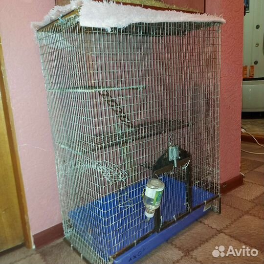 Клетка для грызунов большая