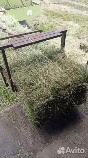 Сено в тюках