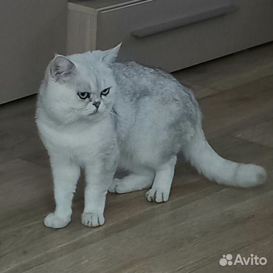 Вязка